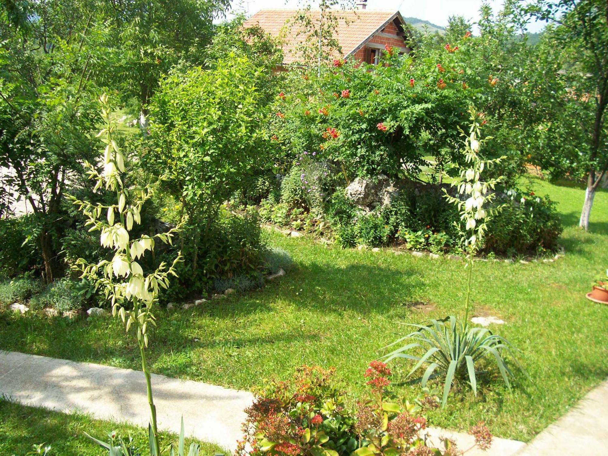 House Zlatko Guest House Seliste Dreznicko Exterior photo